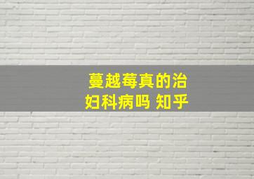 蔓越莓真的治妇科病吗 知乎